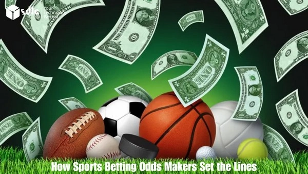 Độ giãn dòng tiền có quyết định khả năng sống sót trong cá cược dài hạn không?