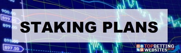 Bạn đã biết công thức chia vốn cá cược tối ưu cho người mới bắt đầu trong năm 2026 chưa?